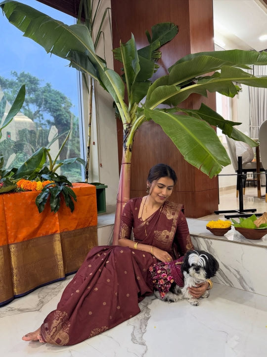 TAANVI